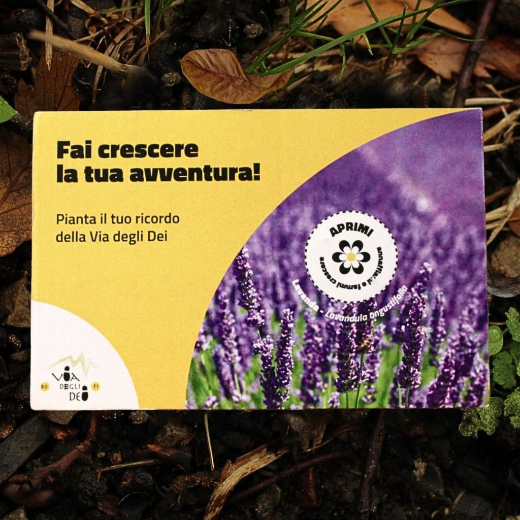 Cartolina Ecologica Via degli Dei