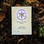 Credenziale cammino "Tesori del Reno"