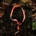 Lanyard – Laccetto da collo Via della Lana e della Seta